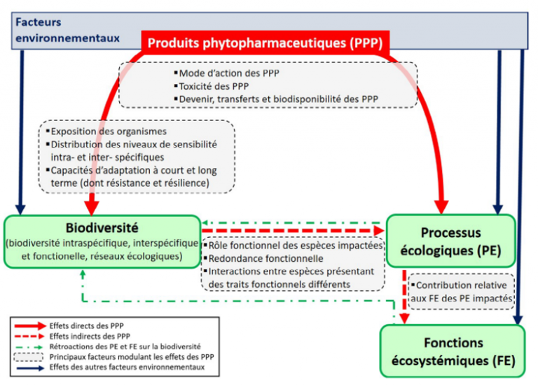 produits phytopharmaceutiques